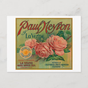 Paul Neyron of La Verne Orange Label ポストカード