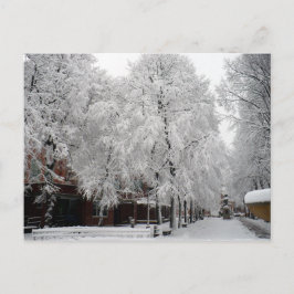 Paul Revere Mall Trees covered in Winter Snow ポストカード