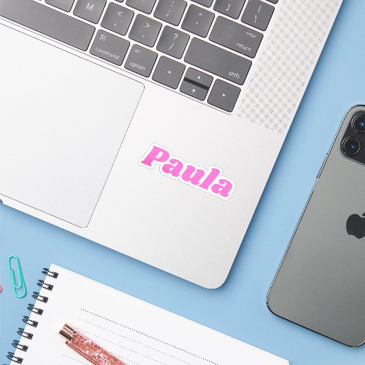 Paula シール (ノートパソコンとiPhone)