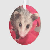Paulee南インディアナからの小さいO'Possum オーナメント (正面)
