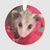 Paulee南インディアナからの小さいO'Possum オーナメント (正面)