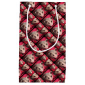 Paulee南インディアナからの小さいO'Possum スモールペーパーバッグ (正面)