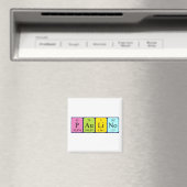 Paulino周期表名磁石 マグネット (インサイチュ (食洗機))