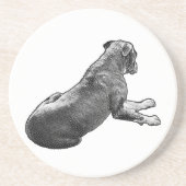 Pause Beside A Gaze コースター (正面)