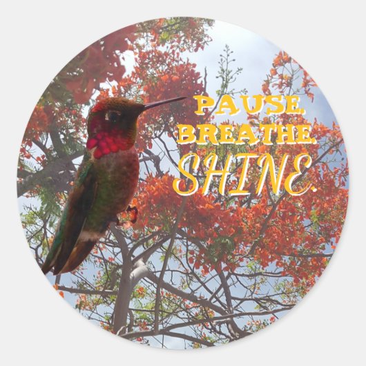 PAUSE. BREATHE. SHINE. Hummingbird ラウンドシール (正面)
