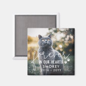 Pawは永遠に私たちのハート猫の写真にプリント マグネット (正面/裏面)