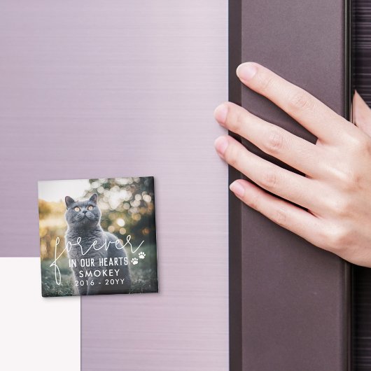 Pawは永遠に私たちのハート猫の写真にプリント マグネット