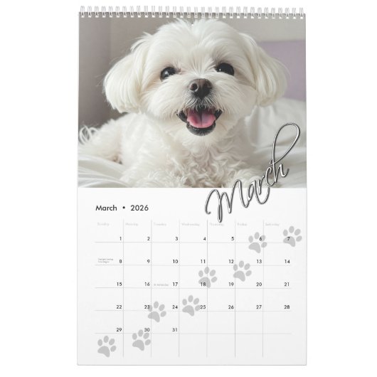 Pawは12ヶ月あなたの家族のペットの写真をプリント カレンダー (3月 2026)