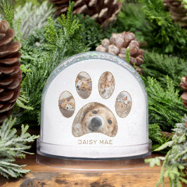 Pawパーソナライズされた印刷ペット名年写真集