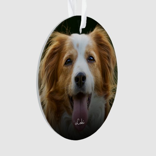 PawプリントとハートフレームカスタムPetフォトオルナム オーナメント (正面)