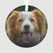 PawプリントとハートフレームカスタムPetフォトオルナム オーナメント (裏面)