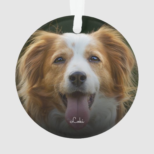 PawプリントとハートフレームカスタムPetフォトオルナム オーナメント (裏面)