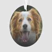 PawプリントとハートフレームカスタムPetフォトオルナム オーナメント (正面)