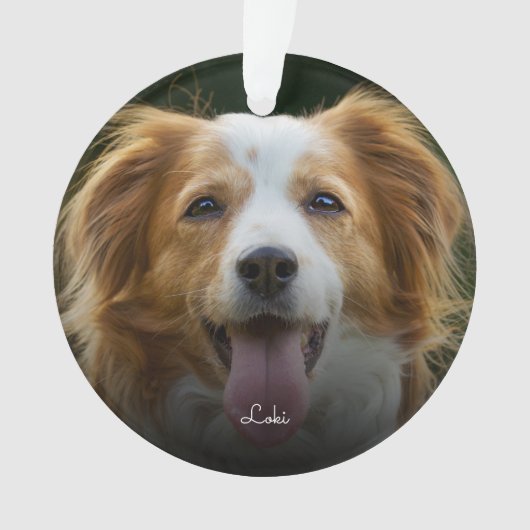 PawプリントとハートフレームカスタムPetフォトオルナム オーナメント (正面)