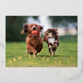 Paw-La-La-La-La-Laおもしろいペットのクリスマスフォト 箔シーズンカード (正面)