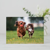 Paw-La-La-La-La-Laおもしろいペットのクリスマスフォト 箔シーズンカード (立ち正面)