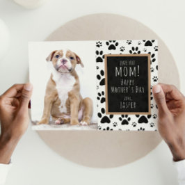 Paw Print Mother's Day Father's Dayの写真 シーズンカード