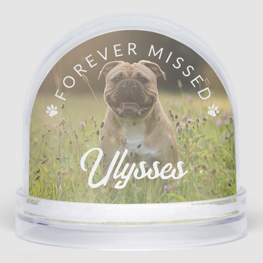 Paw Printes Forever 恋しく思 Name Dog Photo (正面)