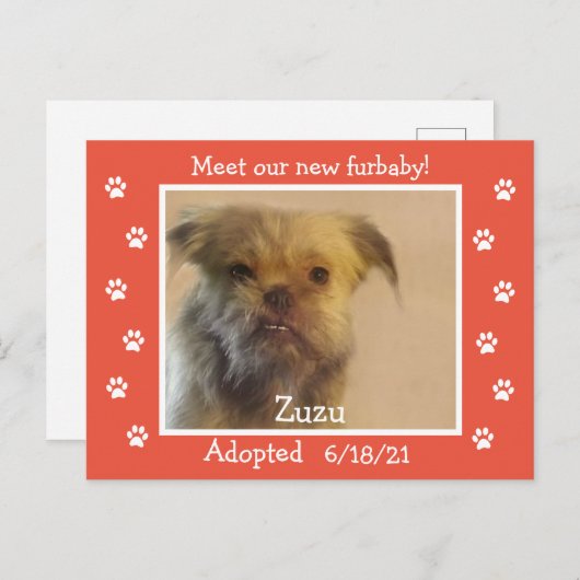 Paw Prints Frame Pet Adoption Save the Date ポストカード (正面/裏面)