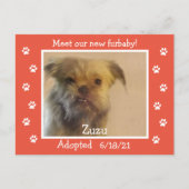 Paw Prints Frame Pet Adoption Save the Date ポストカード (正面)