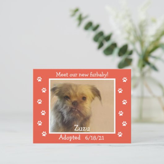 Paw Prints Frame Pet Adoption Save the Date ポストカード (スタンド正面)