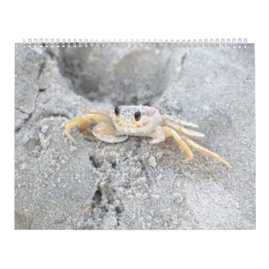 Pawleysの島の大きい壁掛けカレンダーのデザイン2 カレンダー (カバー)