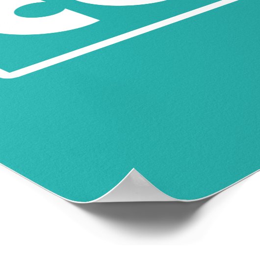 PAWNEE EAGLETON UNITY CONCERT ポスター (角)