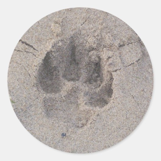 Pawprintシール ラウンドシール (正面)