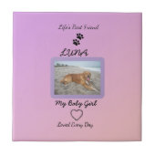 Pawprint Heart Everyday Pet タイル (正面)