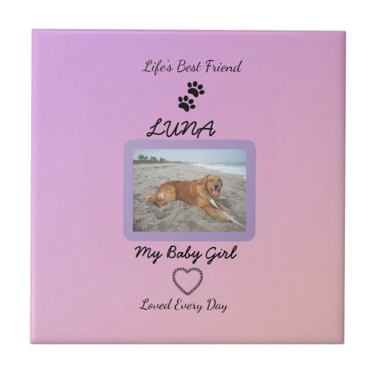 Pawprint Heart Everyday Pet タイル (正面)