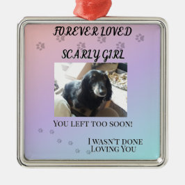 Pawprints Across the Rainbo Tribute メタルオーナメント