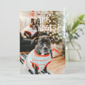 Paws and Kisses Funny Pet Photo Holiday Card 招待状 (スタンド正面)