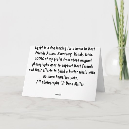 Paws for 考え : Dog 2 カード (裏面)