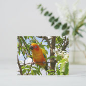 Paws Hereポストカード「Olivia」 ポストカード (スタンド正面)