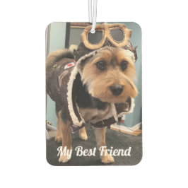 Paws in ourハート写真ペット記念カスタム碑 カーエアーフレッシュナー