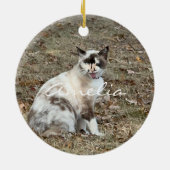 Paws in ourハート写真ペット記念カスタム碑 セラミックオーナメント (裏面)