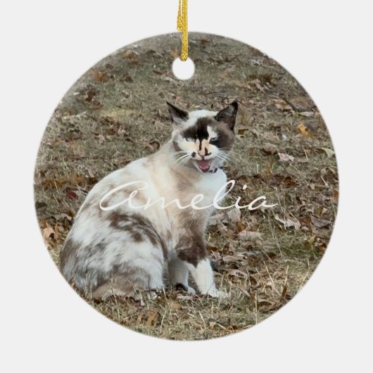 Paws in ourハート写真ペット記念カスタム碑 セラミックオーナメント (裏面)