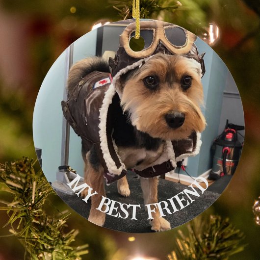 Paws in ourハート写真ペット記念カスタム碑 セラミックオーナメント