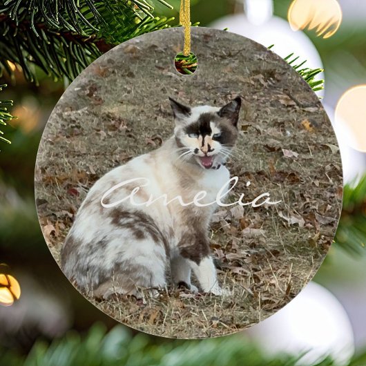 Paws in ourハート写真ペット記念カスタム碑 セラミックオーナメント