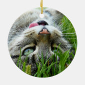 Paws in ourハート写真ペット記念カスタム碑 セラミックオーナメント (裏面)