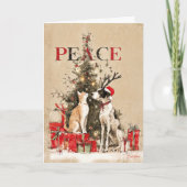 Paws of Peace  カード (正面)