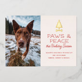 Paws Peace Festive Dog Pet Photo Christmas 箔シーズンカード (正面)