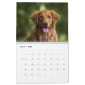 Paws Through the Seasons Calendar カレンダー (3月 2026)