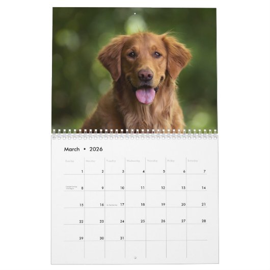 Paws Through the Seasons Calendar カレンダー (3月 2026)