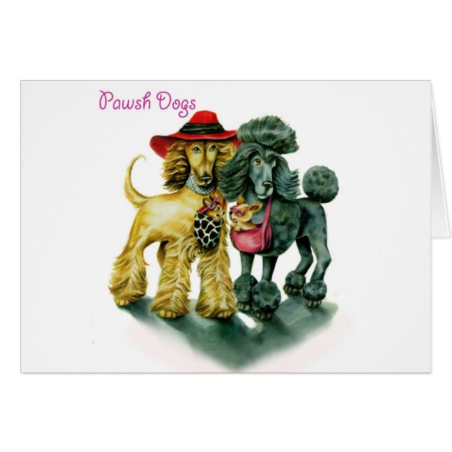 Pawsh犬 (正面横)