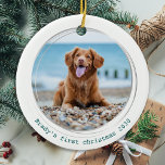Pawsiely Covid検疫グリーンドッグペットの写真 セラミックオーナメント<br><div class="desc">年最高の間なく！犬に言われろ！お飾の木や特別な贈り物を送るこすごいとができるパーソナライズされたペット写真のカスタムクリスマス飾り。このおもしろいパンデミック検疫犬のクリスマス装飾は、すべてのお気に入りの愛犬家の間で行われる。あなたの犬の写真を追加し、名前と年でパーソナライズ。オーナメントは両面で、あなたは違う各側面の写真を行うことができる。私たちのコレクションに合う犬のクリスマスカード、家の装飾やギフトを訪れる。COPYRIGHT © 2020 Judy Burrows,  Black Dog Art - All Rights Reserved</div>
