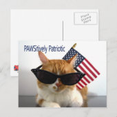 PAWSitively Patriotic 猫 ポストカード (正面/裏面)