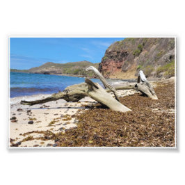 paysage フォトプリント           