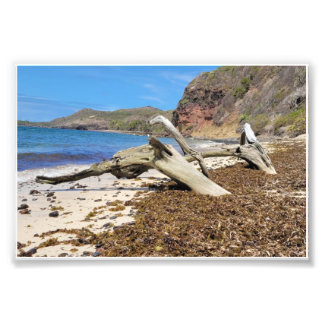 paysage フォトプリント           