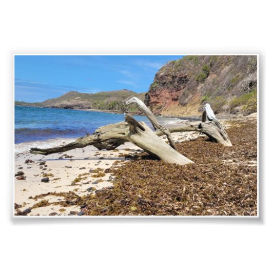 paysage フォトプリント            (正面)